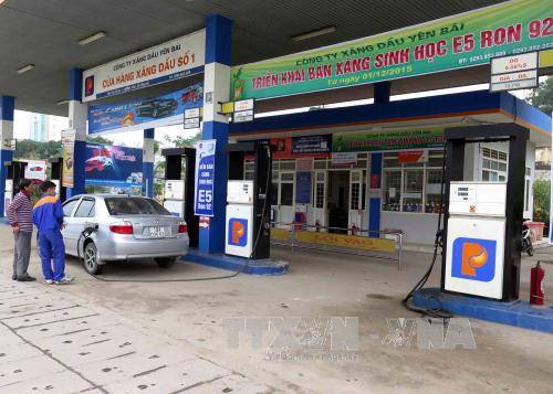 Người tiêu dùng chưa mặn mà với xăng E5